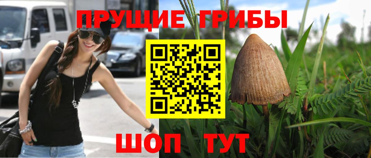 Псилоцибиновые грибы мицелий Набережные Челны