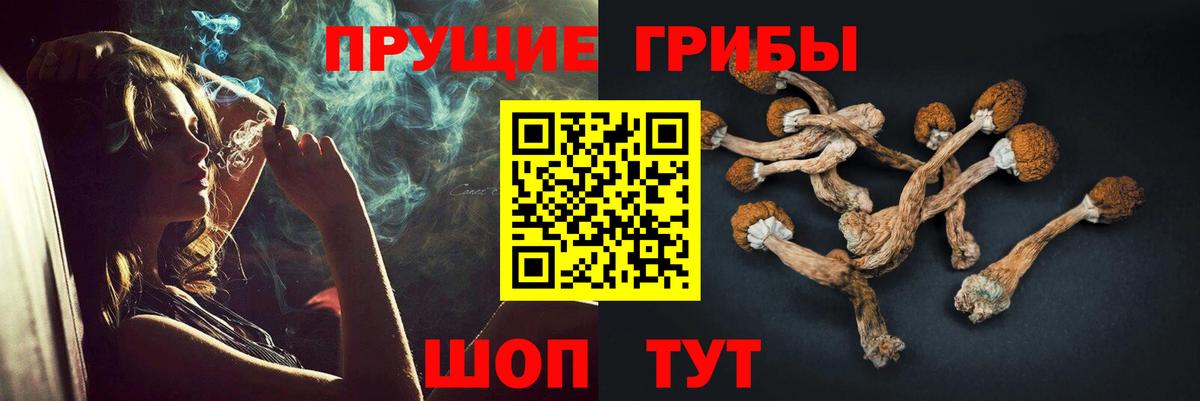 Набережные Челны  Псилоцибиновые грибы Cubensis  Вход с VPN  Галлюциногенные грибы Magic Shrooms 